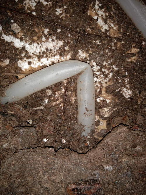 安仁堵点精准查找